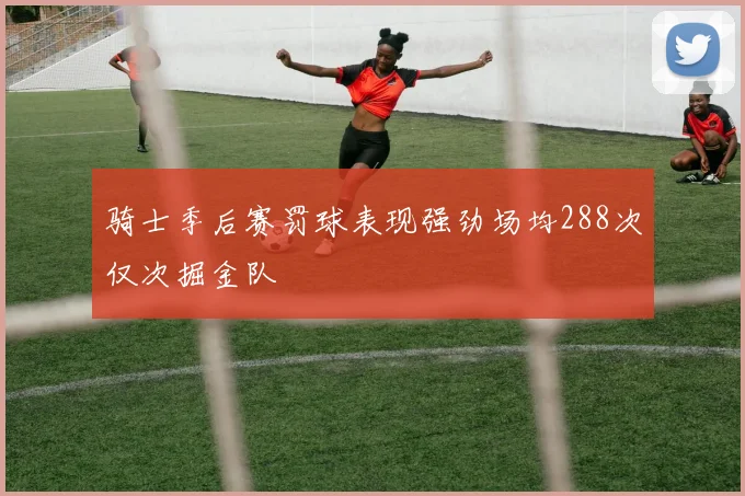骑士季后赛罚球表现强劲场均288次仅次掘金队