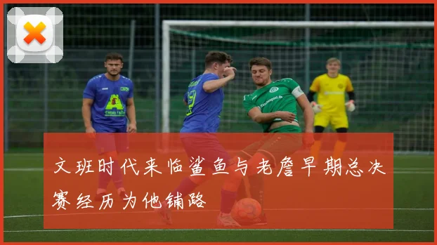 文班时代来临鲨鱼与老詹早期总决赛经历为他铺路